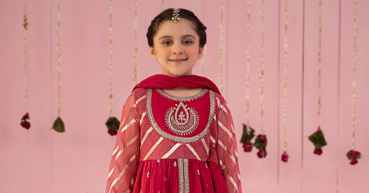 3 Piece Embroidered Organza Suit - Image 6