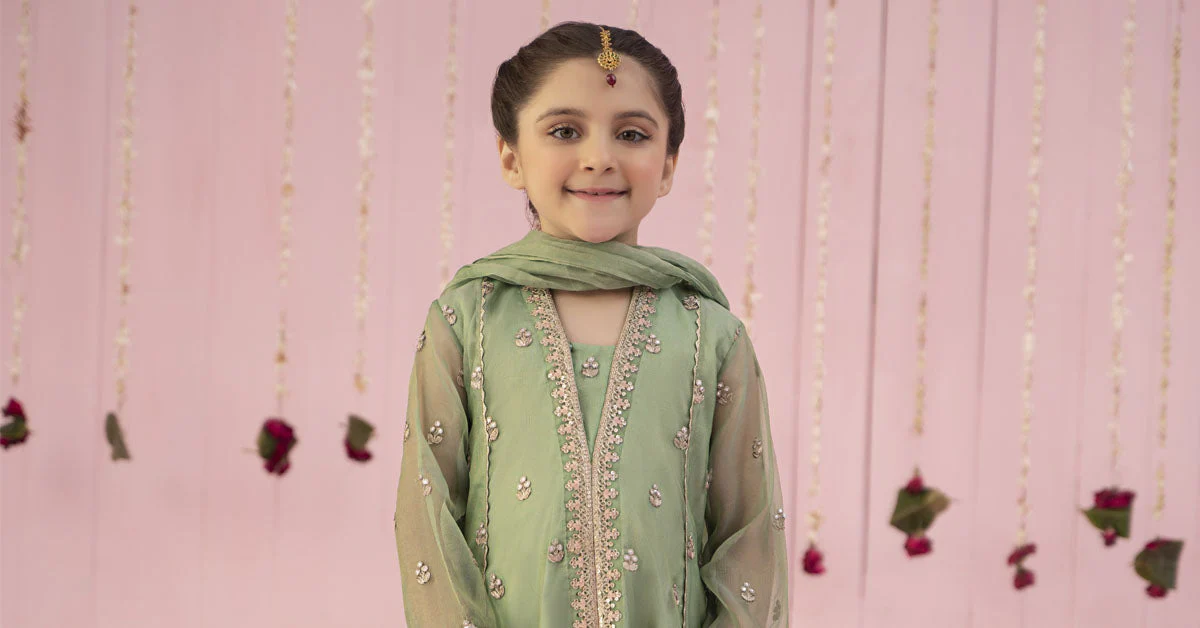 3 Piece Embroidered Zari Line Organza Suit - Image 8