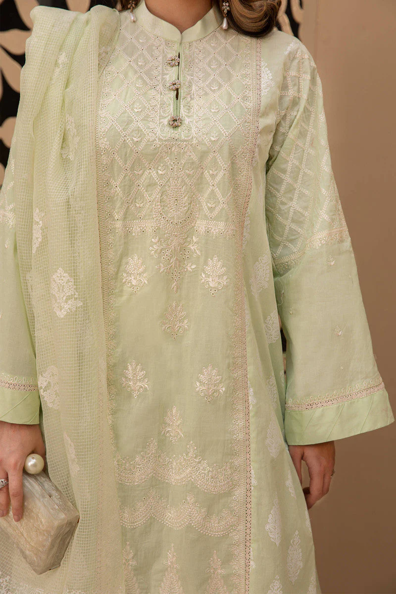 Suit Green DW-EF21-44 - Image 4