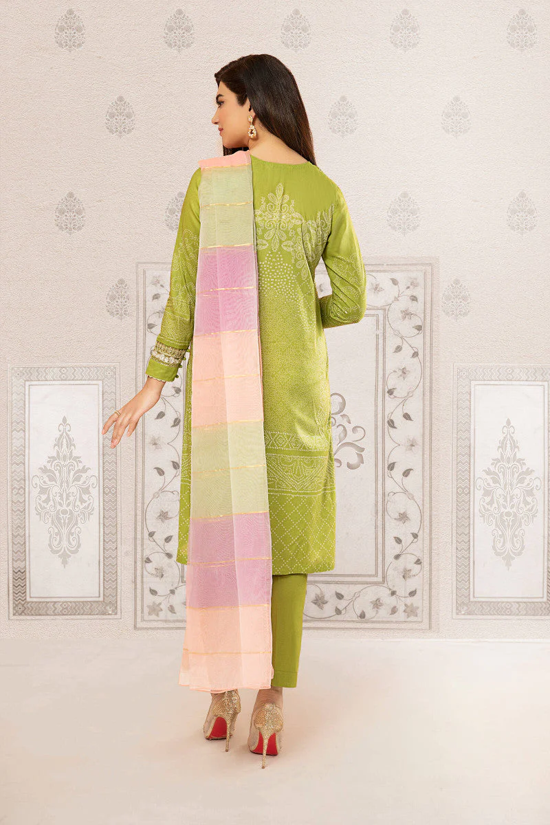 Suit Green DW-EF22-50 - Image 3