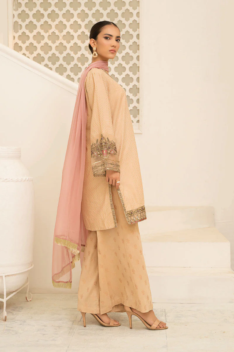 Suit Beige DW-W22-86 - Image 3