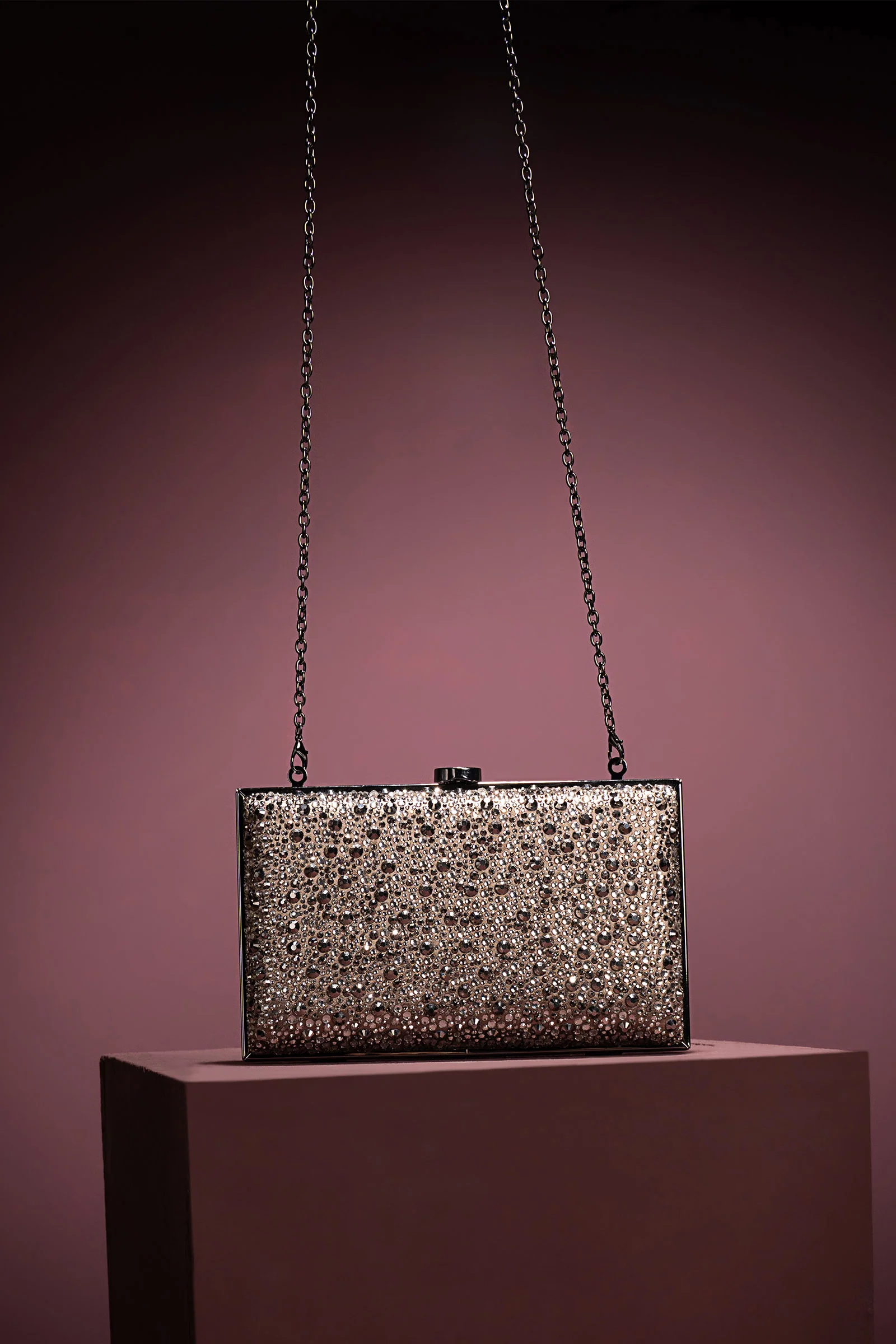 Sparkling Rectangle Clutch