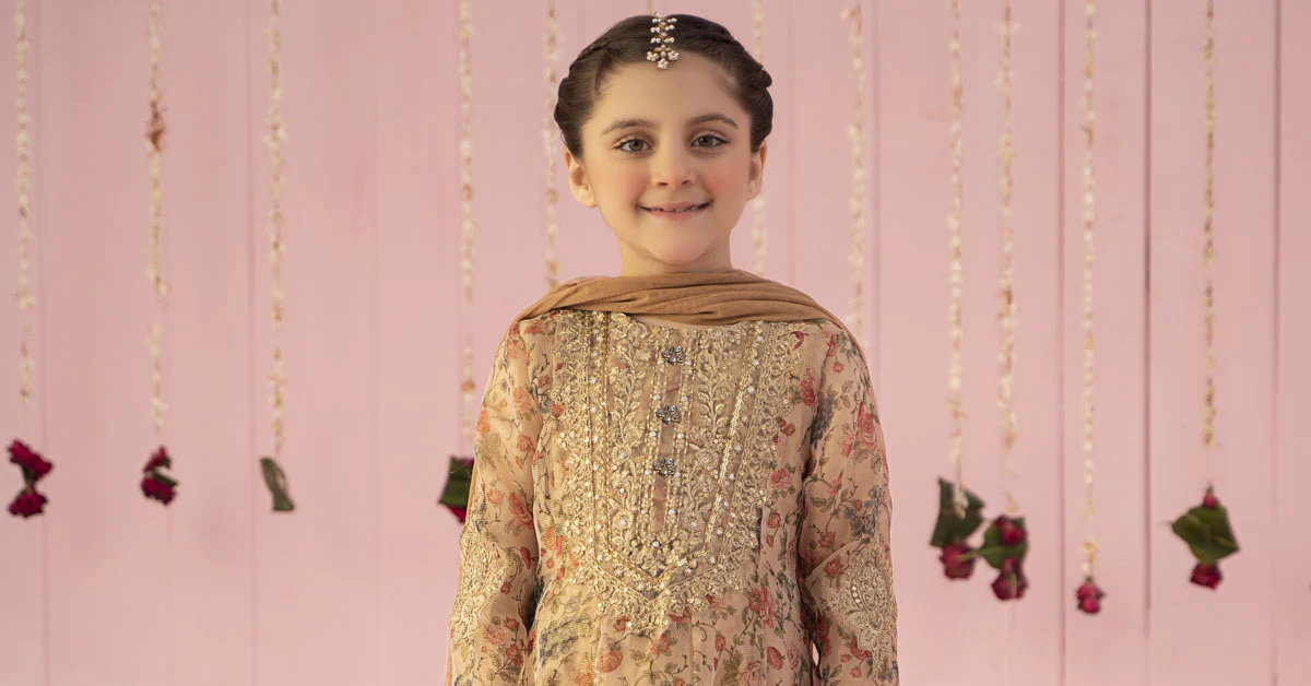 3 Piece Masoori Net Suit - Image 9