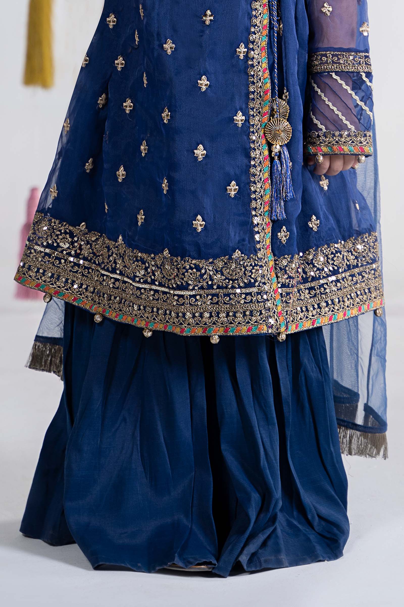 3 Piece Embroidered Organza Suit - Image 5