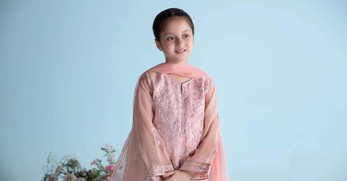 3 Piece Embroidered Organza Suit - Image 8