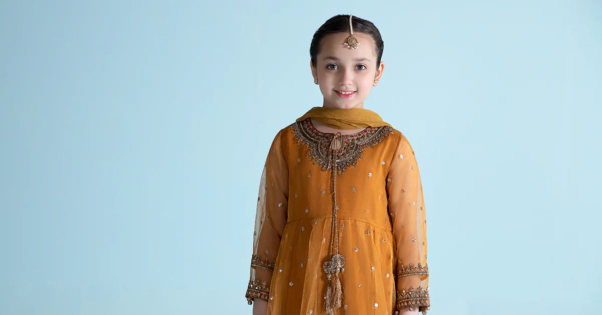 3 Piece Embroidered Organza Suit - Image 7