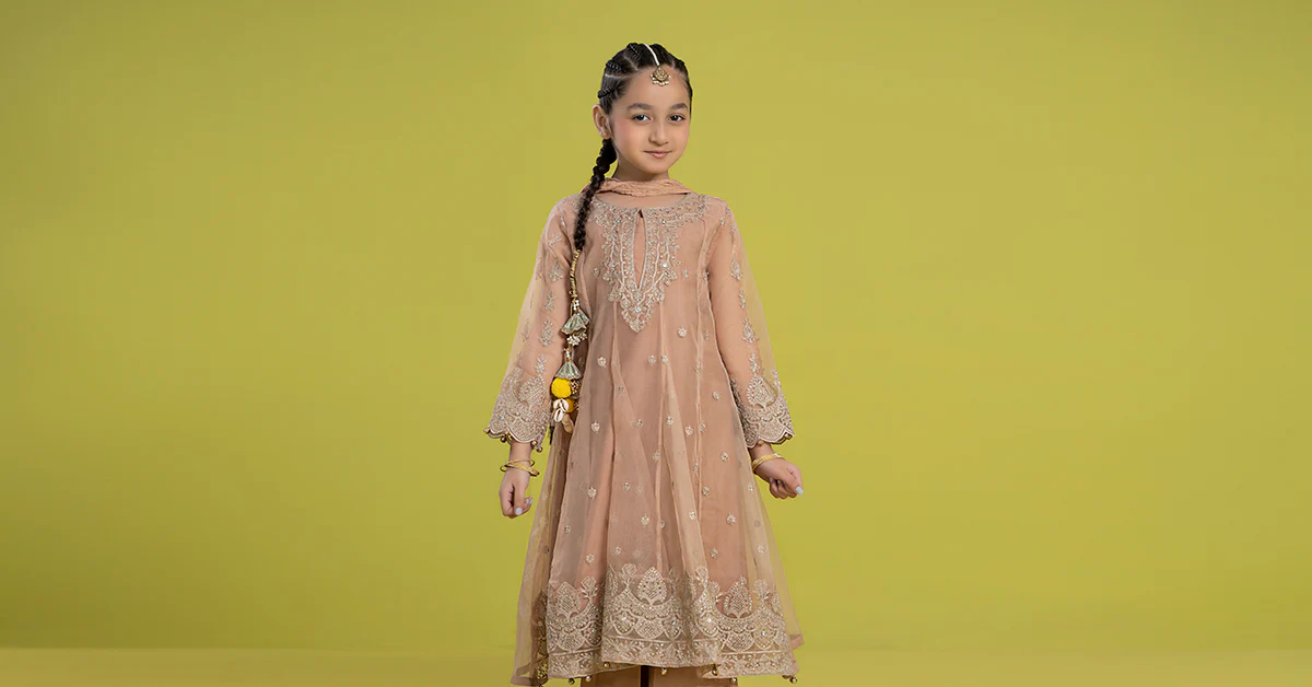 3 Piece Embroidered Organza Suit - Image 9