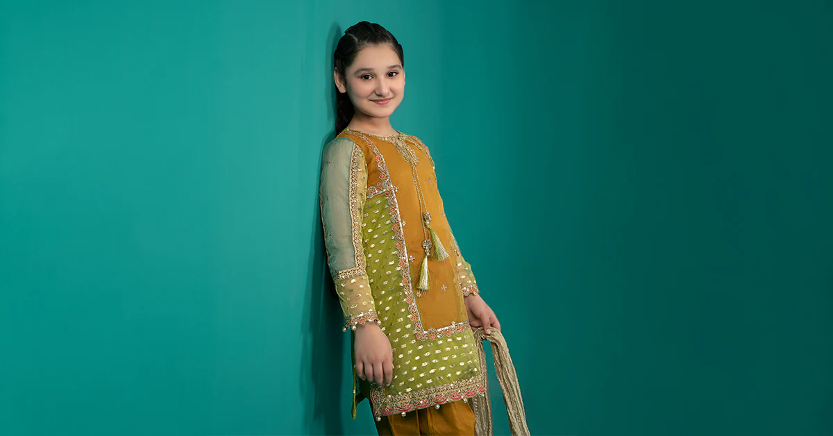 3 Piece Embroidered Organza Suit - Image 7