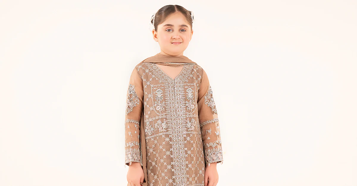 3 Piece Embroidered Organza Suit - Image 8