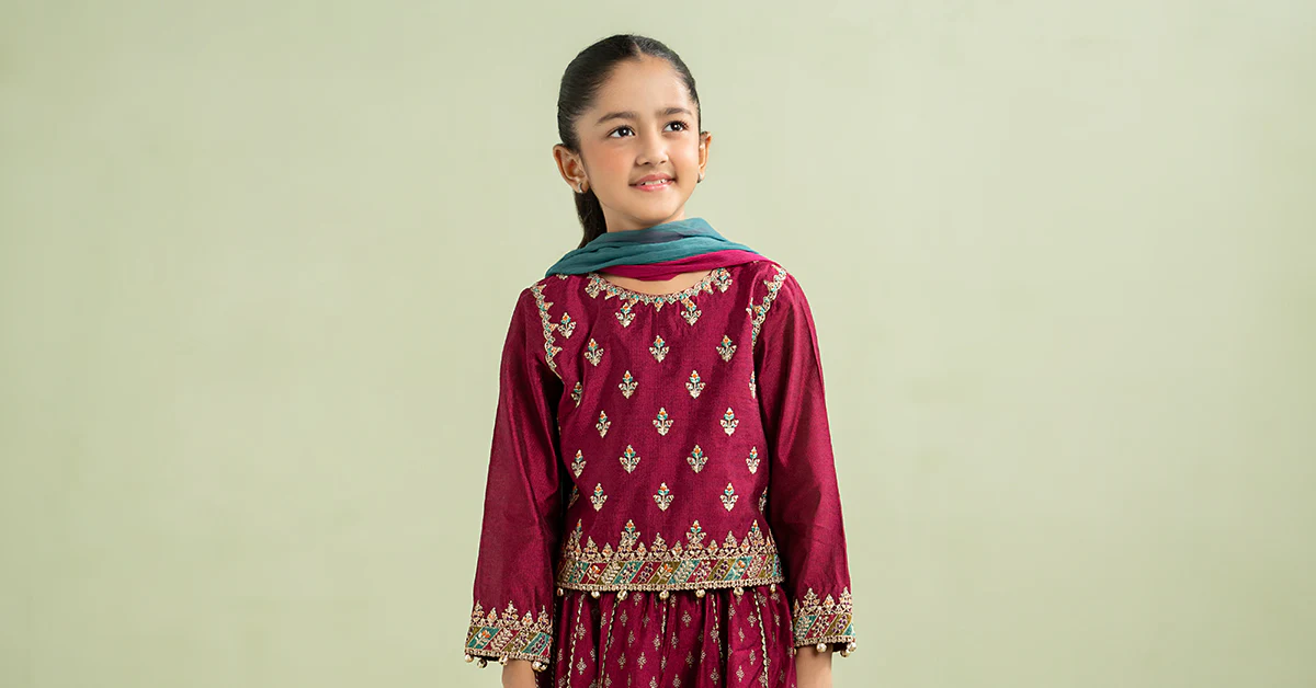 3 Piece Embroidered Silk Net Suit - Image 5