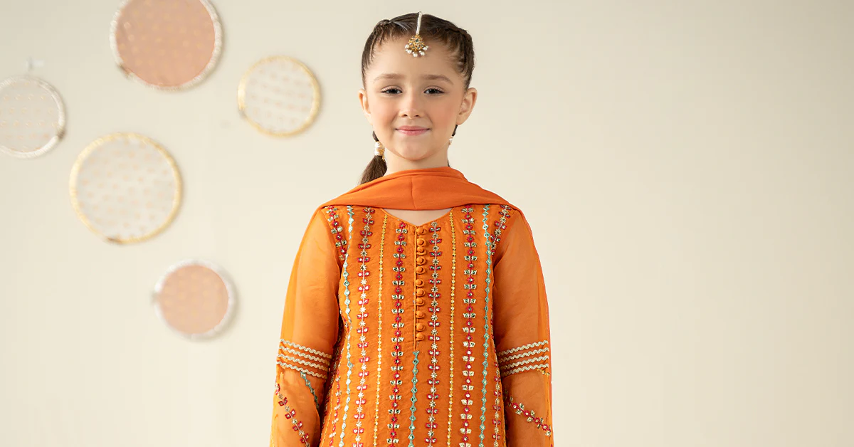 3 Piece Embroidered Organza Suit - Image 8