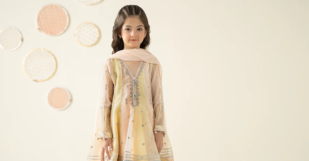 3 Piece Embroidered Organza Suit - Image 10