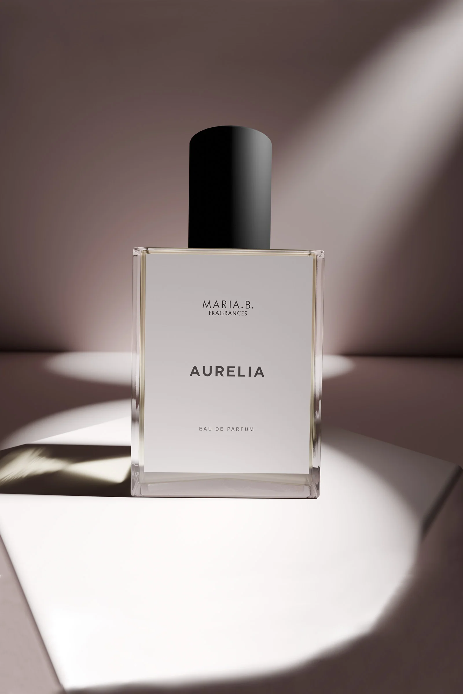 P-Aurelia - Image 4