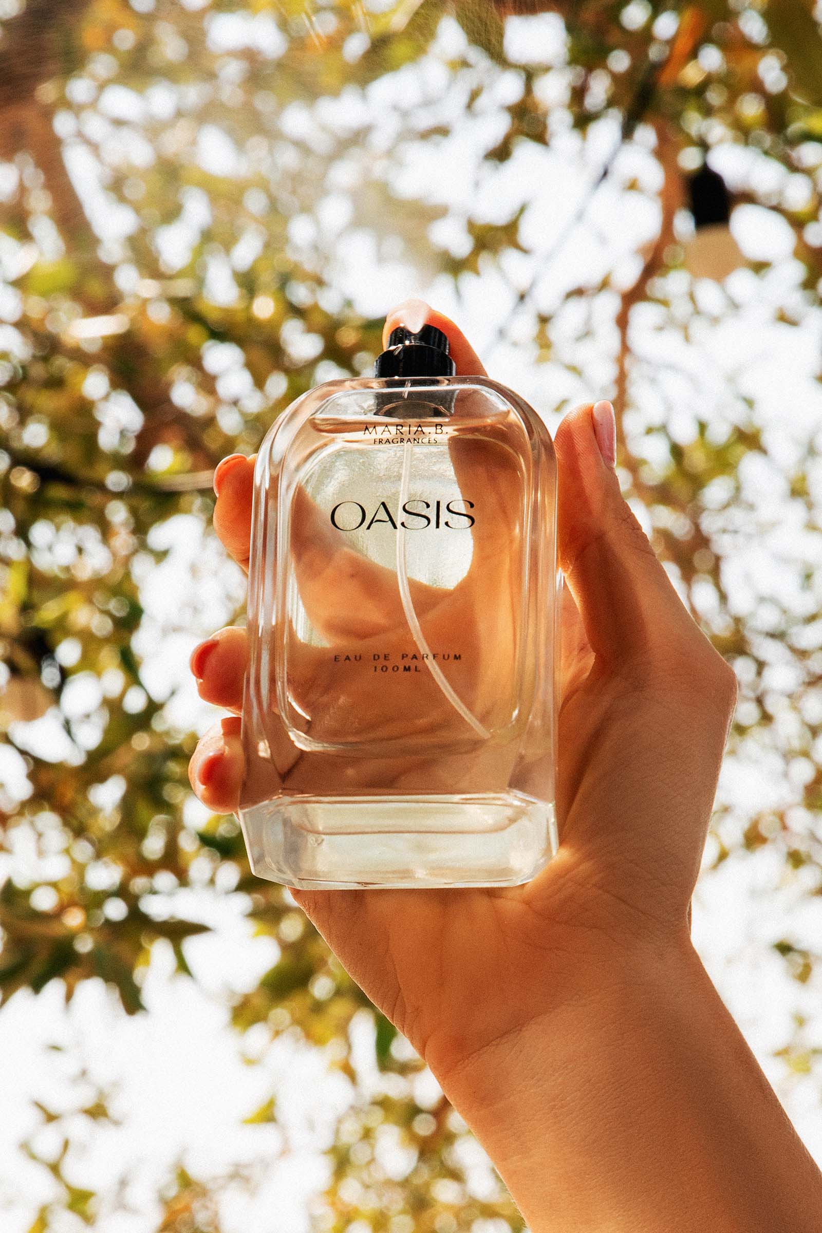 P-Oasis - Image 3