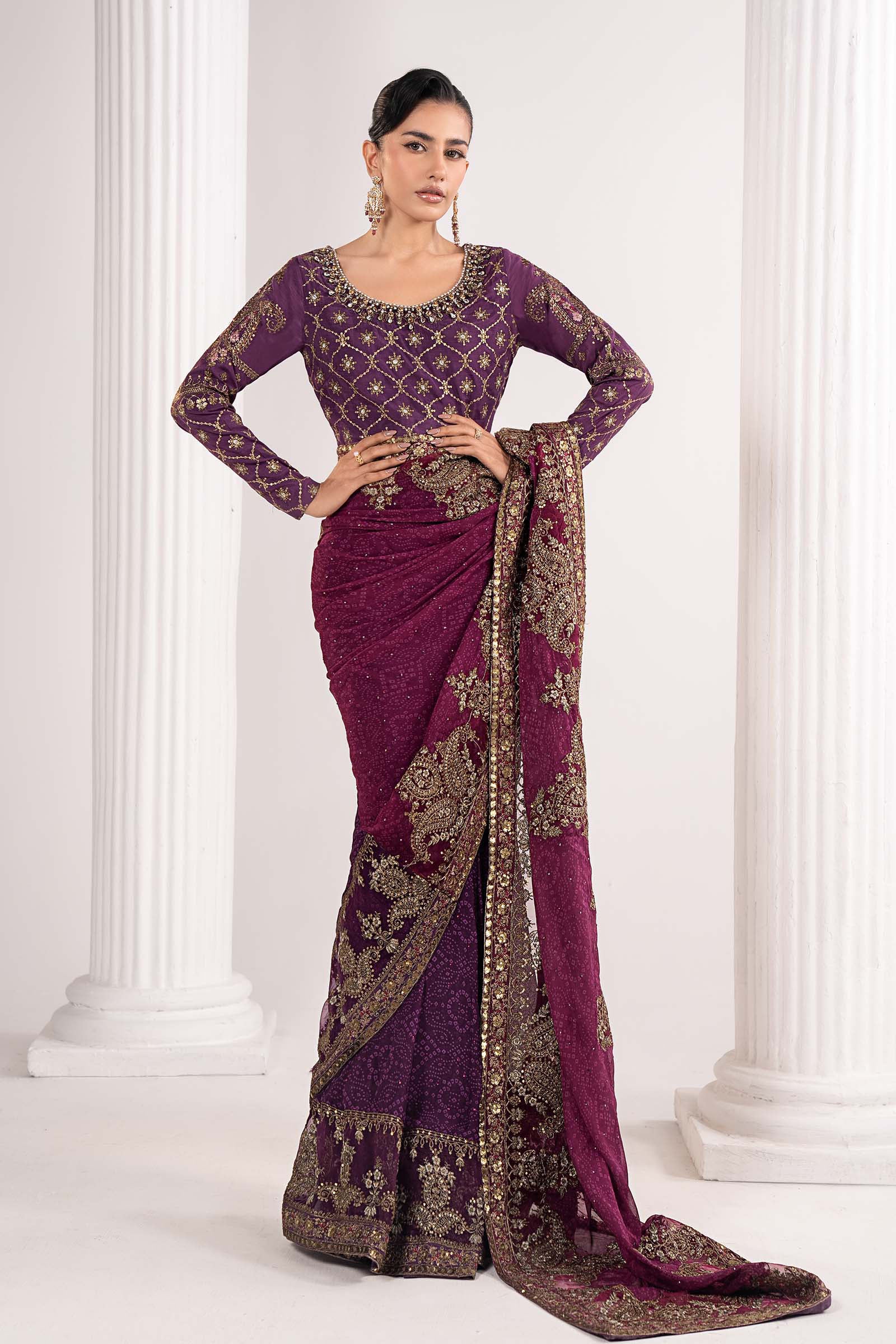 Embroidered Chiffon Saree - Image 4