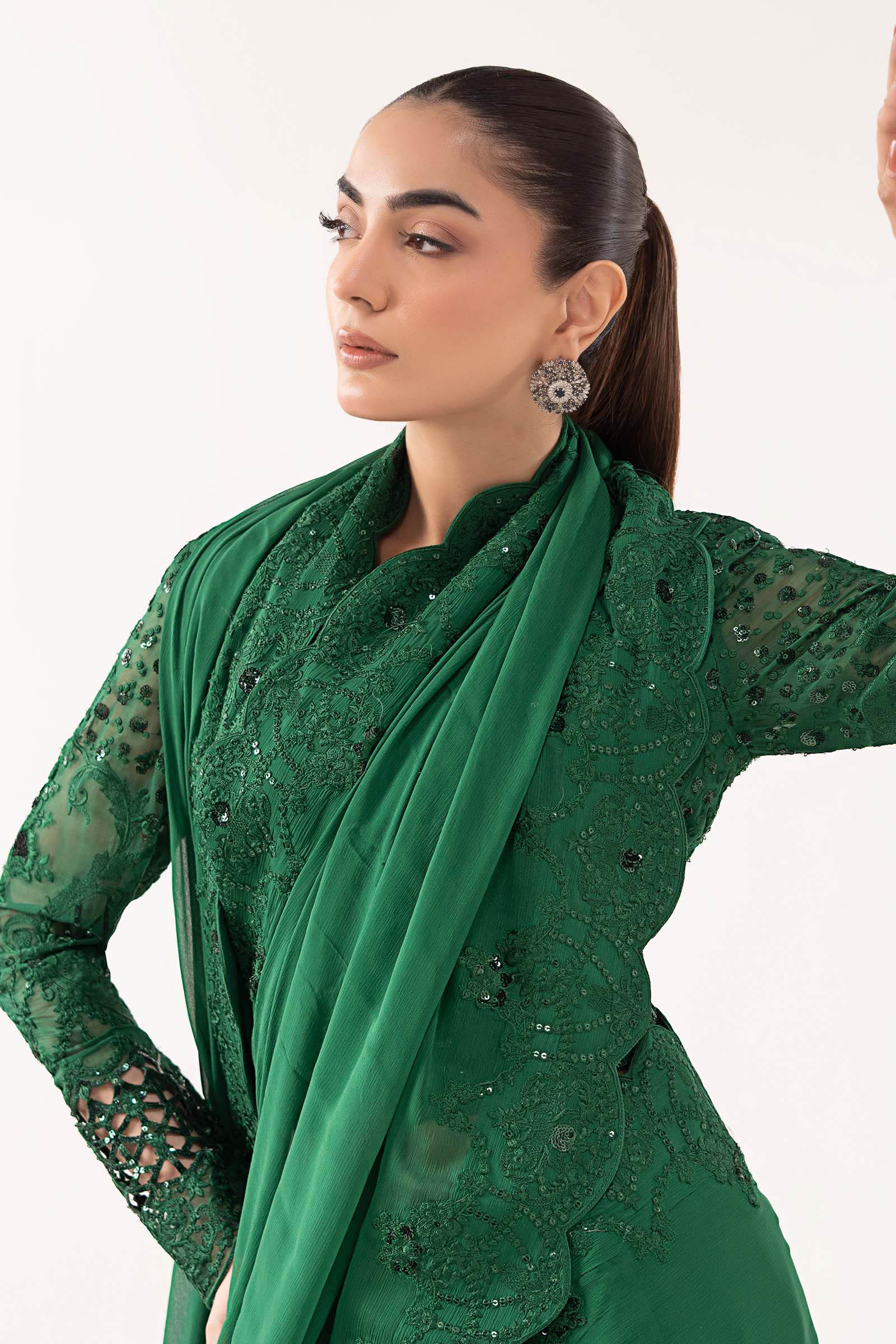 Embroidered Chiffon Saree - Image 4